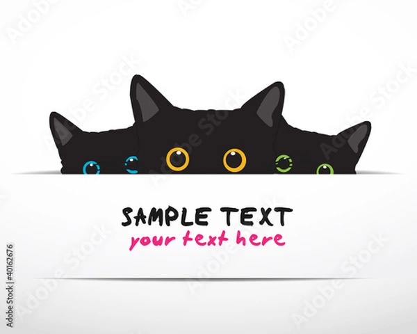 Obraz cats looking at you