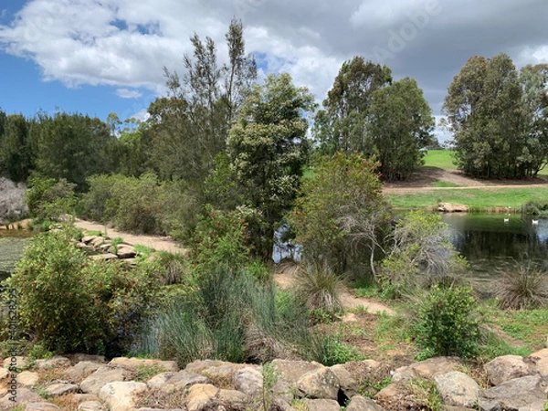 Obraz landscape in the summer