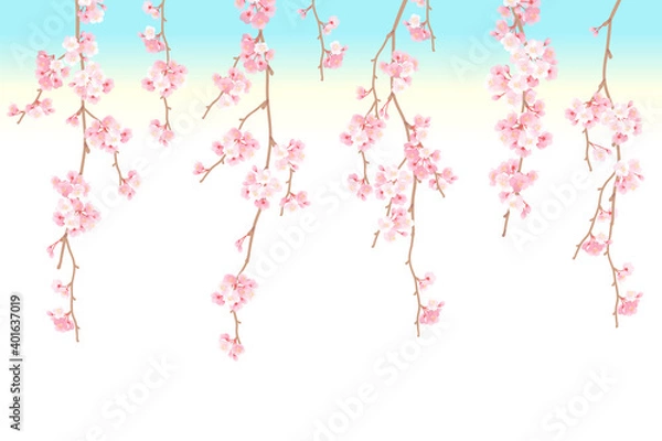 Obraz 枝垂れ桜の背景ベクターイラスト