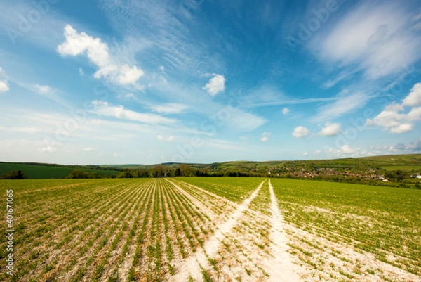 Obraz South Downs Way