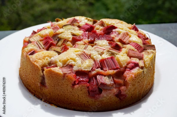 Fototapeta Rhabarberkuchen mit Rührteig in der Springform gebacken, Kuchen mit frischem Rhabarber, rhubarb cake, sponge mixture