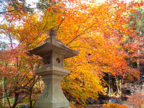 Obraz OLYMPUS DIGITAL CAMERA