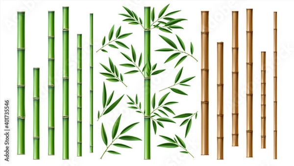 Fototapeta Realistic bamboo stick. Brown and green tree branch and stems with leaves isolated decorative closeup elements, east forest trees collection, exotic botanical decor object, eco material vector 3d set