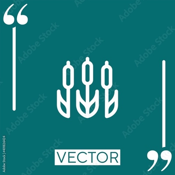 Fototapeta reeds vector icon Linear icon. Editable stroke line