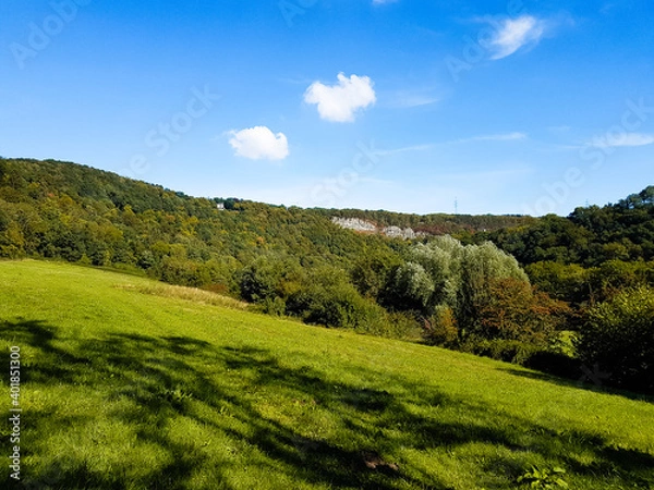 Fototapeta Beautiful green valley in Belgium