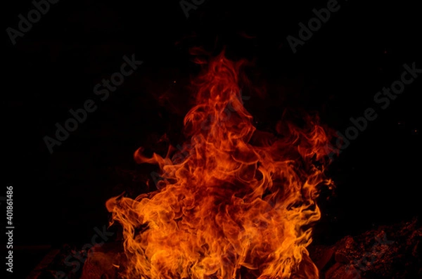 Fototapeta fire Dragon