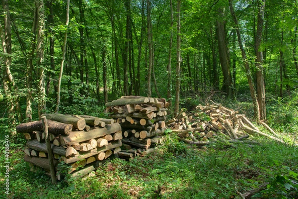 Obraz Stère de bois de chauffage