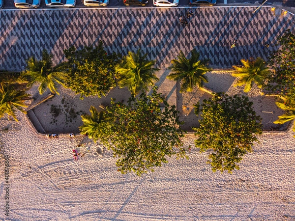 Fototapeta tree on the beach