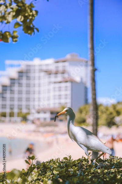 Obraz Ko Olina, West Oahu, Hawaii
