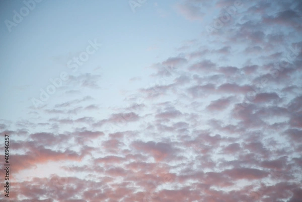 Obraz ピンクに色づいた雲