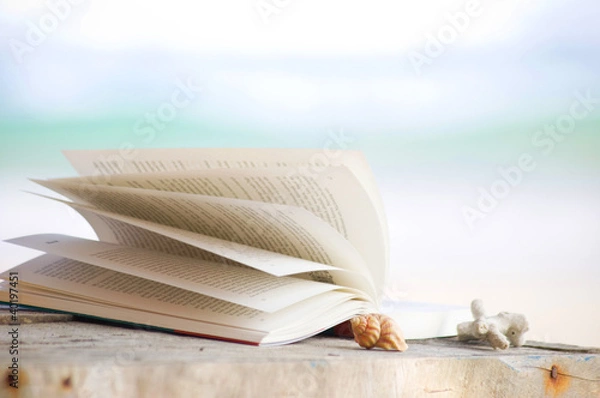 Obraz Ein Buch am Strand lesen