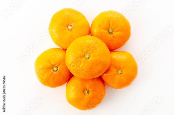 Fototapeta 温州みかん