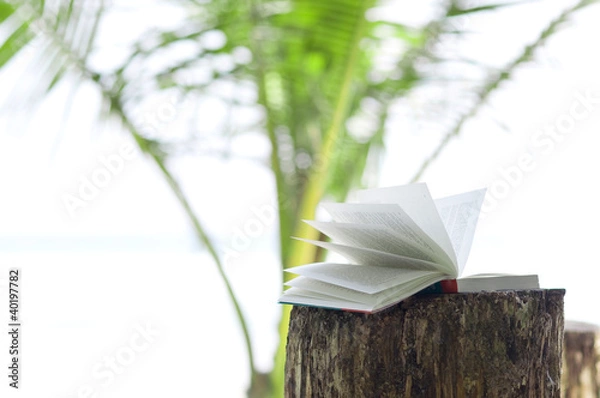 Obraz Buch am Strand