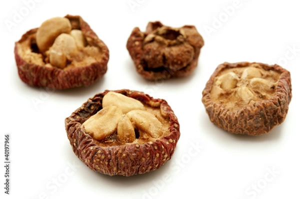 Obraz Chinese hawthorn