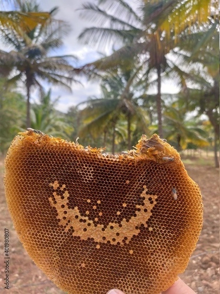 Obraz Beehive with smiley