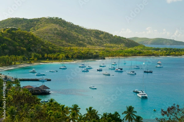 Fototapeta Anchoring ships in tropical bay. Plenty of small yachts on blue sea water, green hills and blue sky in the background. Aerial view of Britannia Bay, Mustique island. Caribbean lifestyle themes