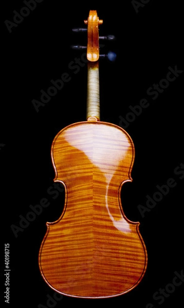 Obraz Violin brown back