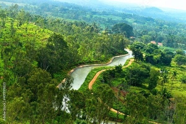 Obraz river in the forest
