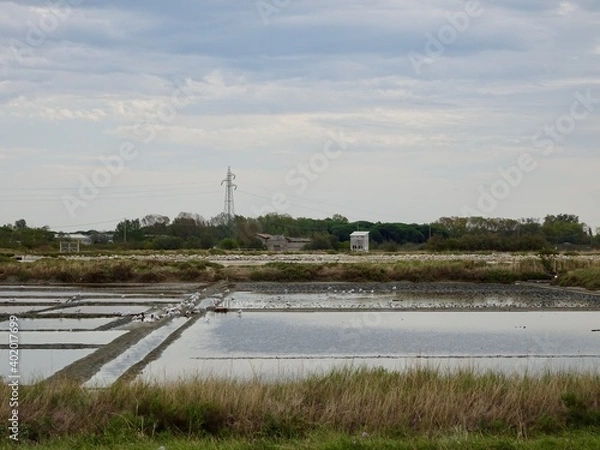 Obraz saline di cervia
