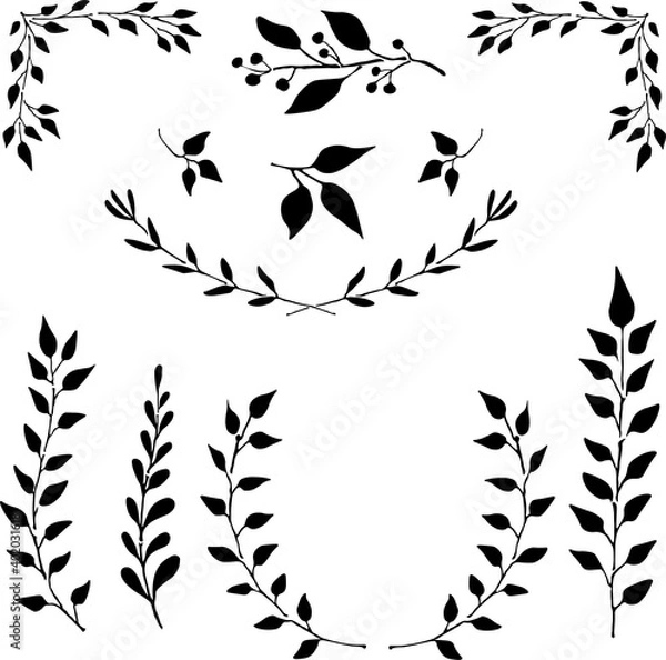 Obraz Plant ornaments, vector