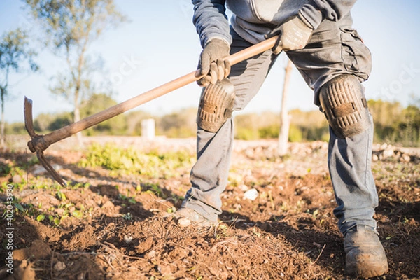 Obraz unrecognizable man tilling the land in the field