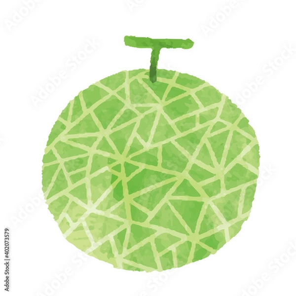 Fototapeta 水彩風  メロンのイラスト素材