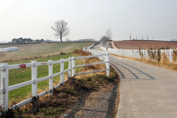 Obraz A farm road with white fences. 
