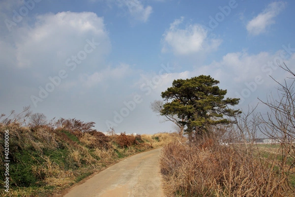 Obraz Country road landscape with clouded sky and tree.