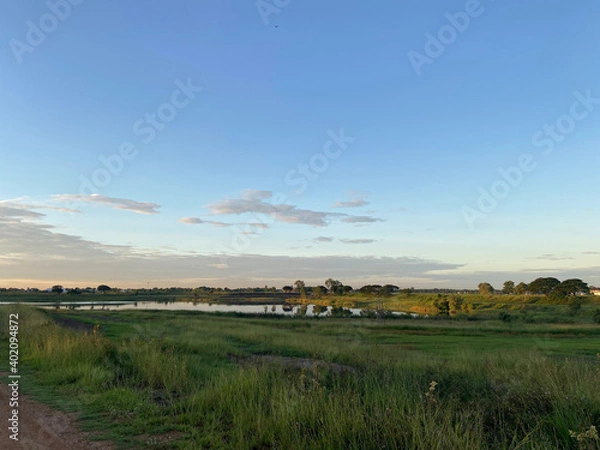 Obraz sunset over the river with grass