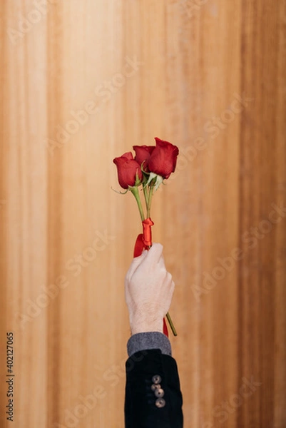Obraz hand holding red roses