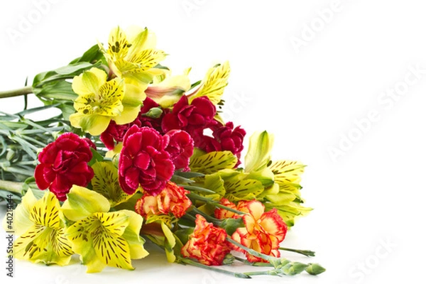 Obraz alstroemeria flowers