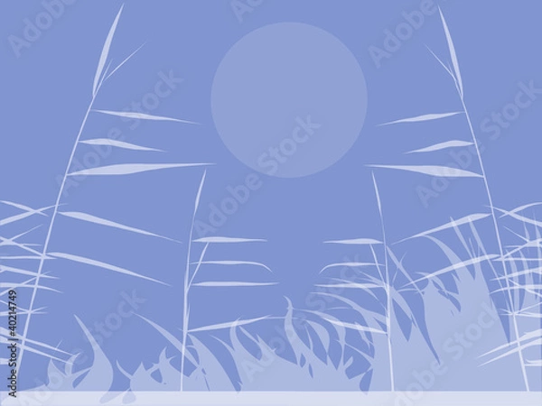 Obraz summer background