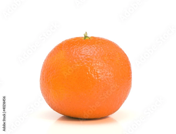 Obraz Lonely mandarin