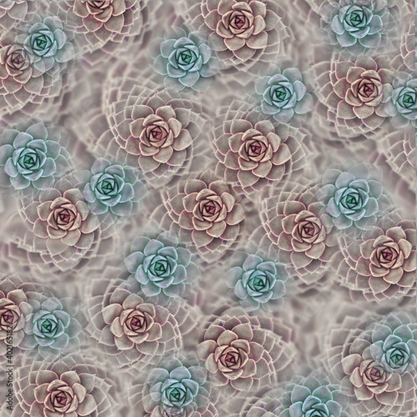 Obraz abstract background pattern with blue and pink succulents