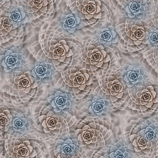 Obraz abstract background pattern with blue and pink succulents