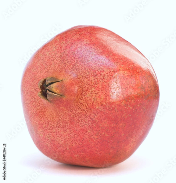 Obraz Lonely pomegranate
