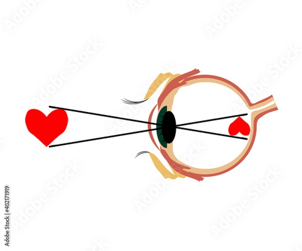 Obraz Human eye on a white background. Inverted perception. Vector illustration.