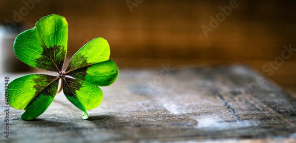 Obraz Glücksklee im Licht Panorama