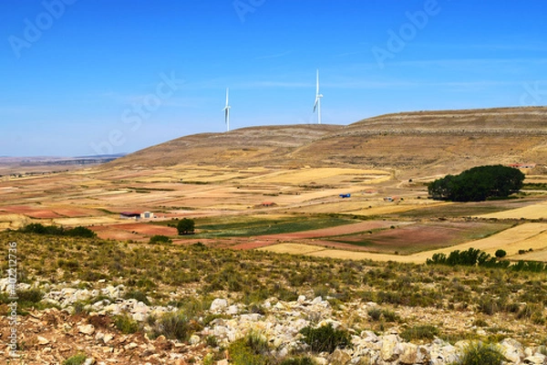 Fototapeta Hills with wind generators in an arid landscape of hay fields and some scattered trees in summer