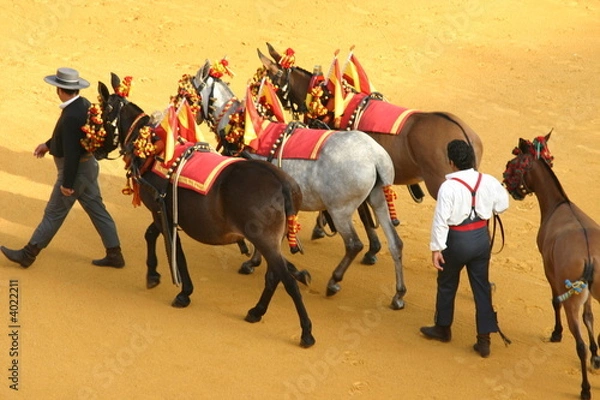 Fototapeta Stierkampf