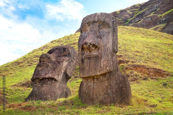 Fototapeta Moai on the slopes of the Rano Raraku Volcano, on Easer Island, against a blue sky covered by white clouds.