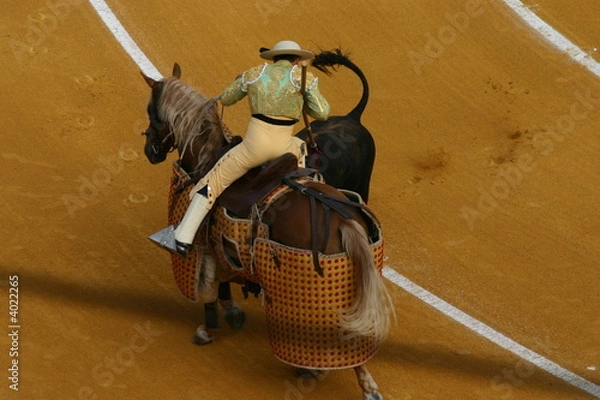 Fototapeta Stierkampf