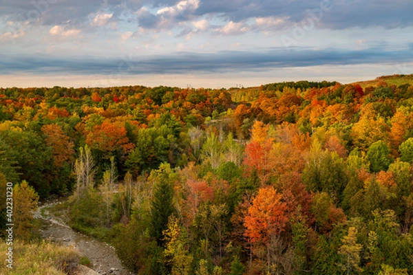 Fototapeta The changing of the warm autumn colors makes way at Ontario's Rouge Urban National Park.
