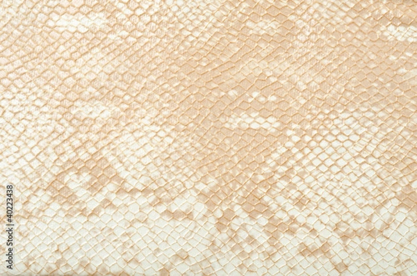 Fototapeta Skóra węża