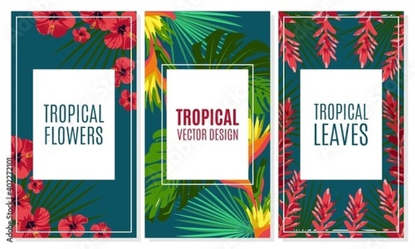 Fototapeta Tropical leaves and flowers cards set. Trendy exotic jungle plants for cover, invitation card, banner, poster botanical design vector illustration