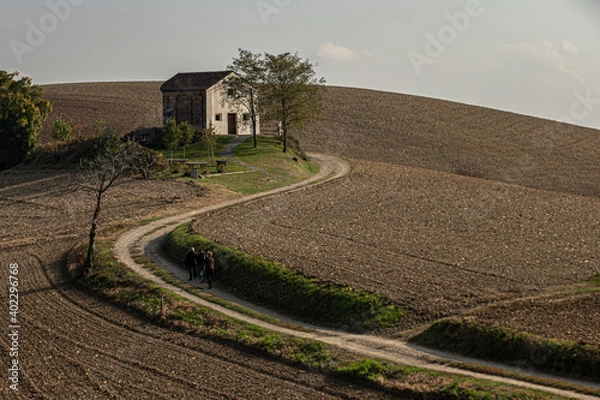 Obraz Curves in the countryside
