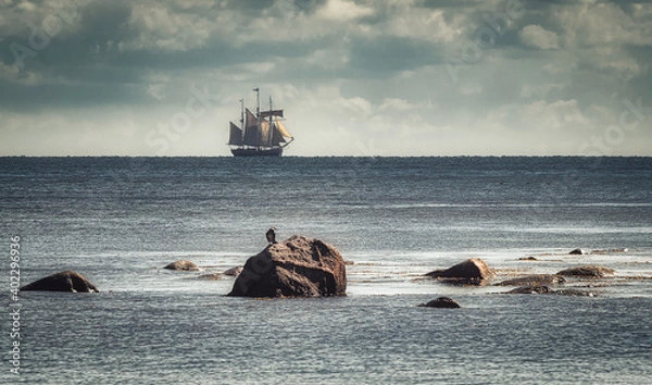 Obraz OLYMPUS DIGITAL CAMERA