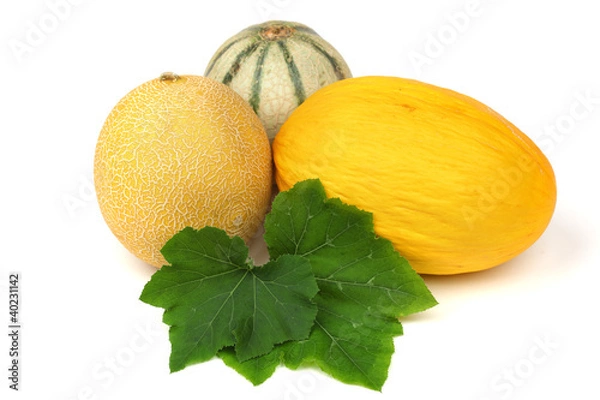 Fototapeta different melon