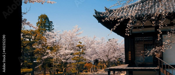 Fototapeta Nijō Castle is a flatland castle in Kyoto, Japan. 