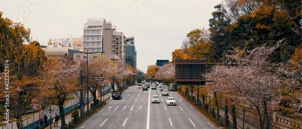 Obraz Japanese road from the bridge